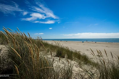 8 Personen Ferienhaus in Blåvand