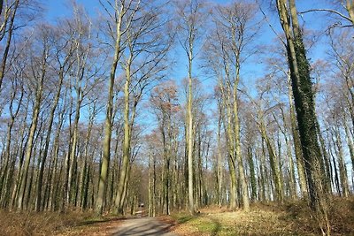 Sturmvogel im Haus Glückauf