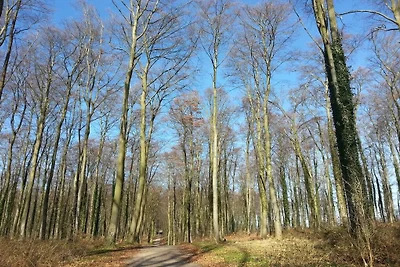 Sturmvogel im Haus Glückauf