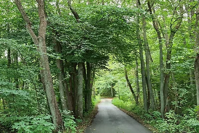 6 Personen Ferienhaus in Jægerspris-By Traum