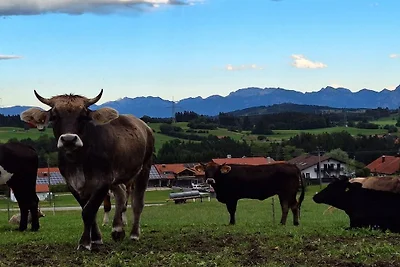 Pension Alpenblick Ferienwohnung Obadob