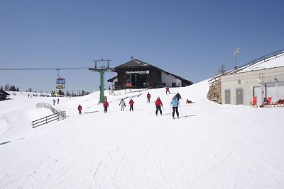 Bauernhaus in Fresach nahe Millstaetter See