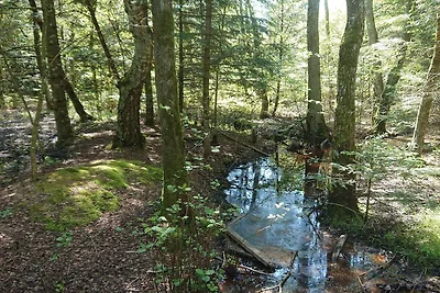 10 Personen Ferienhaus in Ålbæk-By Traum