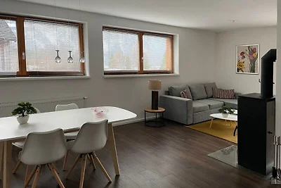 Appartement mit Blick auf den Hallstättersee