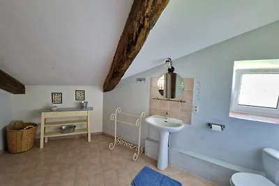 Graziosa casa in pietra con terrazza e giardi...