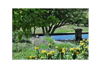 Ferienhaus in Bras mit Schwimmbecken