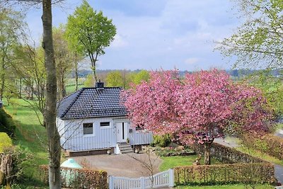 Ferienhaus in Monschau mit Schwimmbecken