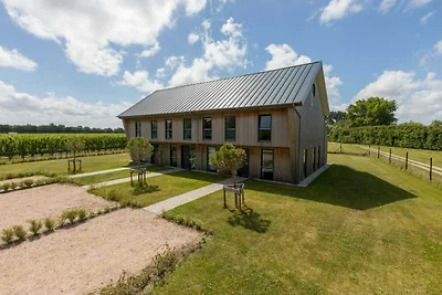 Haus in Vrouwenpolder in Strandnähe