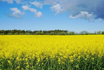 4 Sterne Ferienhaus in Burgsvik
