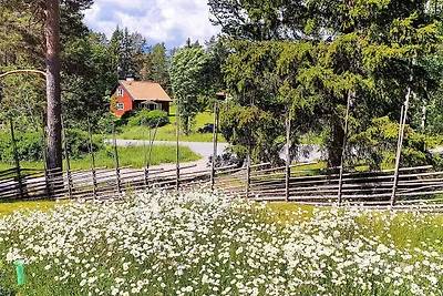 6 persoons vakantie huis in VäTö