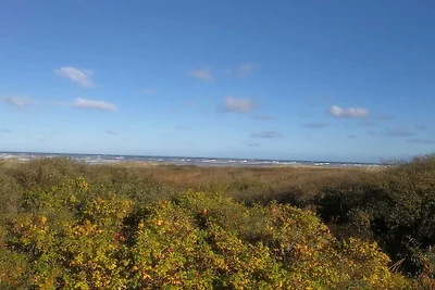 10 Personen Ferienhaus in Bindslev-By Traum