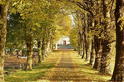 Ferienhof Fraulund -Aprtamnto di vacanza Ohle...