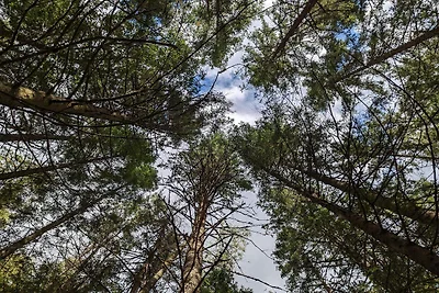 4 Personen Ferienhaus in Brålanda