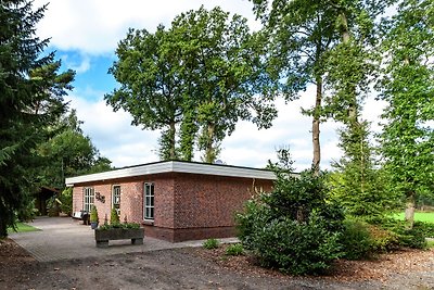 Vrolijke bungalow in Overijssel met speeltuin