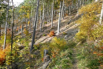 Bungalow in Tabarz am Thüringer Wald