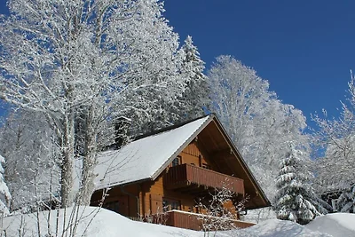 Ferienhaus in Feldberg mit Schwimmbecken