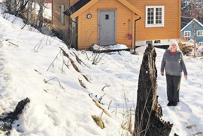 6 Personen Ferienhaus in Skorovatn