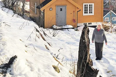 6 Personen Ferienhaus in Skorovatn
