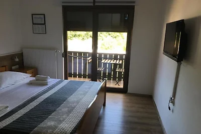 Guesthouse Family Bosnic -One bedroom apartme...
