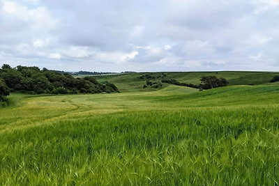 4 Sterne Ferienhaus in Brønderslev