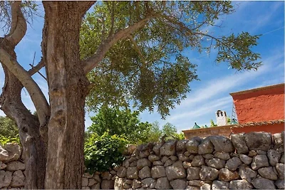 Corte della Masseria