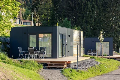 Chalet mit Spülmaschine, in Umgebung