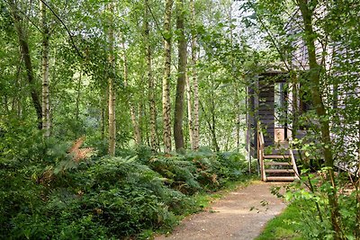 Lakehouse met uitzicht op het bos van...