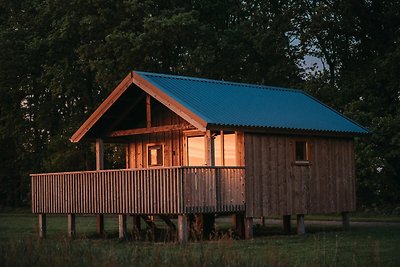 Gezellige lodge met bubbelbad in Drenthe