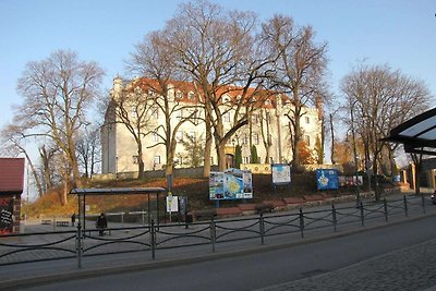 Kleines Ferienhaus, direkt am See, Ryn