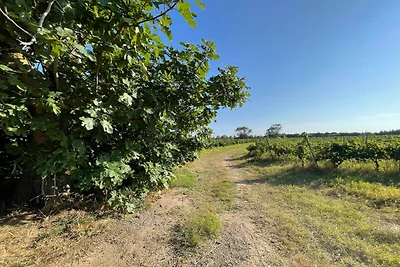 Appartamento vicino alle spiagge di Valras