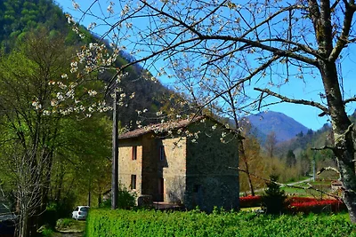 Casa pittoresca con piscina a Trebbio