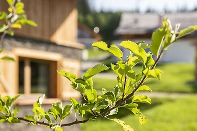 Chalet in Wölting mit Naturschwimmteich