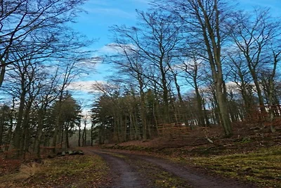 In der Region (Sommer) (>5 km) In der Region (Sommer) (>5 km)