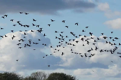 Ruhiger Hüttenurlaub in Ebeltoft