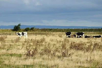 Maison de vacances pour 4 a Bogense-By Traum