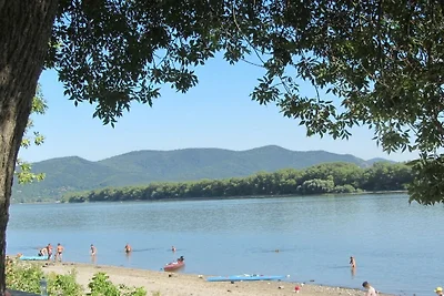 La bellezza del legno