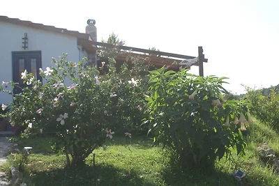 Charmantes Ferienhaus mit eigenem Garten in K...