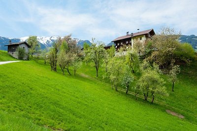 Wohnung in Hainzenberg in einem Skigebiet