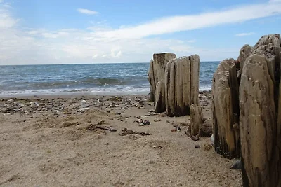10 Personen Ferienhaus in Græsted-By Traum