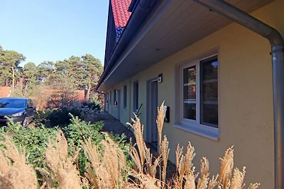 Reihenhaus Dünenwaldhaus in Trassenheide