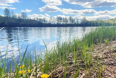 4 Sterne Ferienhaus in LIKENÄS
