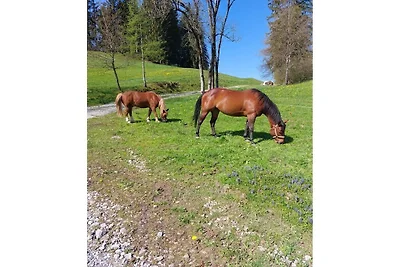 Ferienhof Endress
