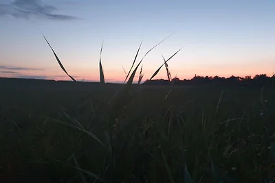 8 persoons vakantie huis in Rødby-By Traum