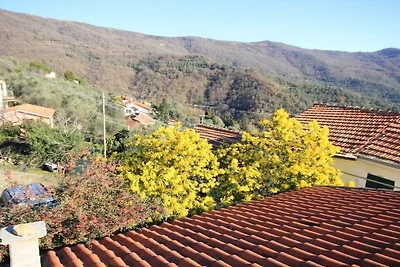 Appartamento per vacanze con 2 camere da...