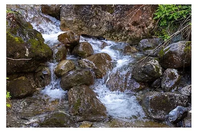 Paradiso Verde - Lucerola