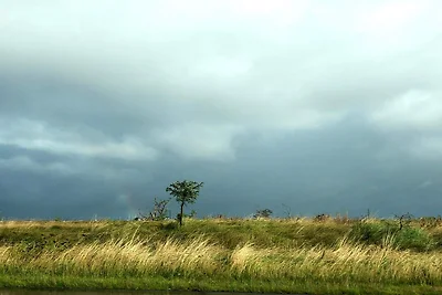 5 Personen Ferienhaus in Vinderup-By Traum