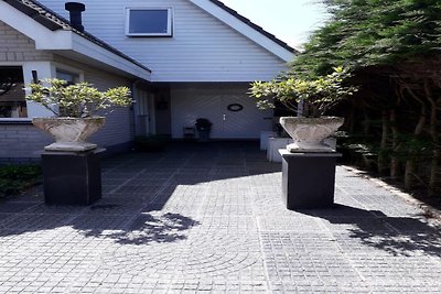 Ruim vakantiehuis in Petten