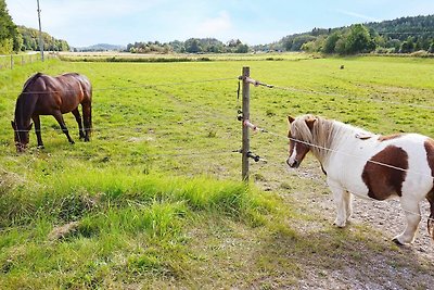 4 Personen Ferienhaus in DINGLE