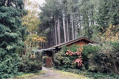 Chalet in ruhiger Lage in der Nähe von Nijlen