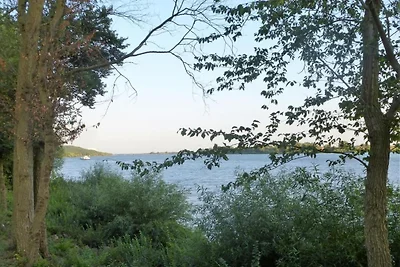 In de regio (zomer) (>5 km) In de regio (zomer) (>5 km)